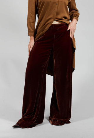 Velvet Trousers in Copper