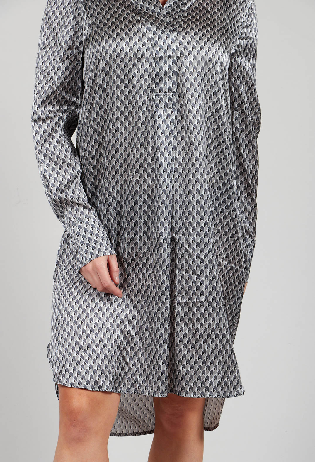 Natelina Dress with Standing Collar