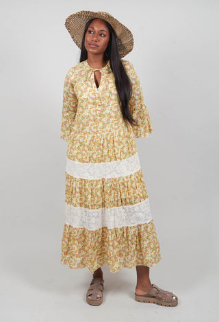 Lined A Line Dress in Floral Gisele Print