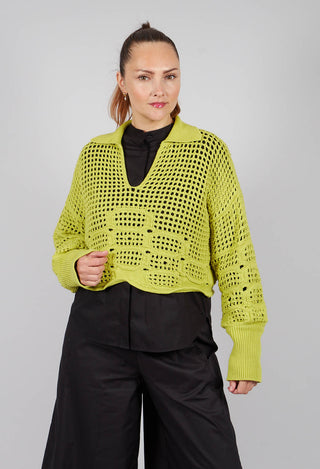 Knitted Polo Top in Limelight
