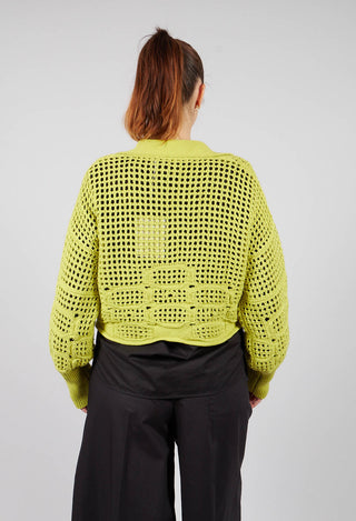 Knitted Polo Top in Limelight