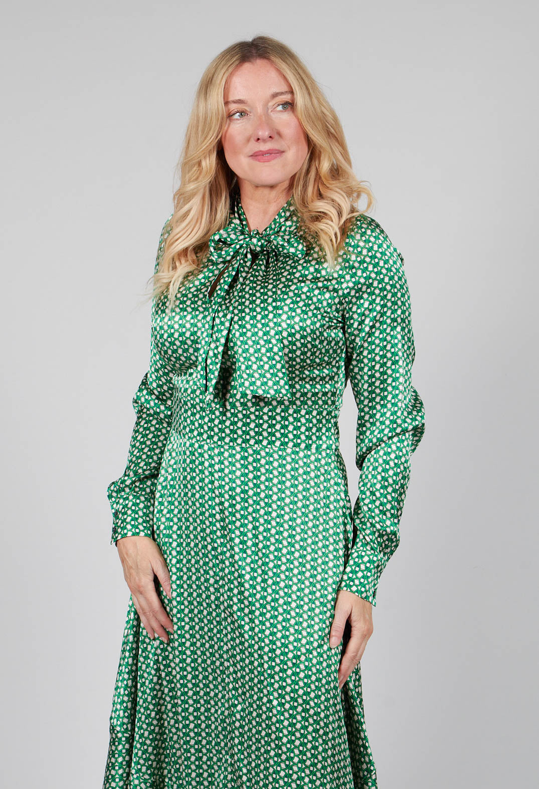 Olga Dress in Salvar Parakeet