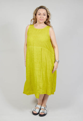 Nosy Dress in Kiwi
