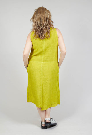 Nosy Dress in Kiwi