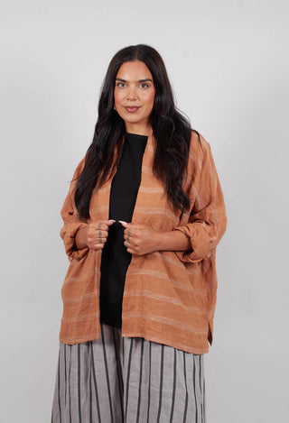 Cropped Open Front Jacket in Brown Stripe