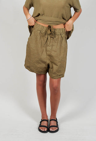 Shorts CC in Khaki