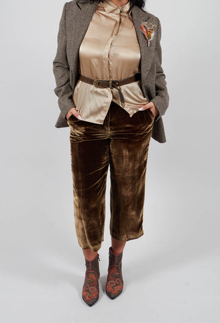 Cropped Velvet Trousers in Gold Khaki