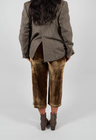 Cropped Velvet Trousers in Gold Khaki