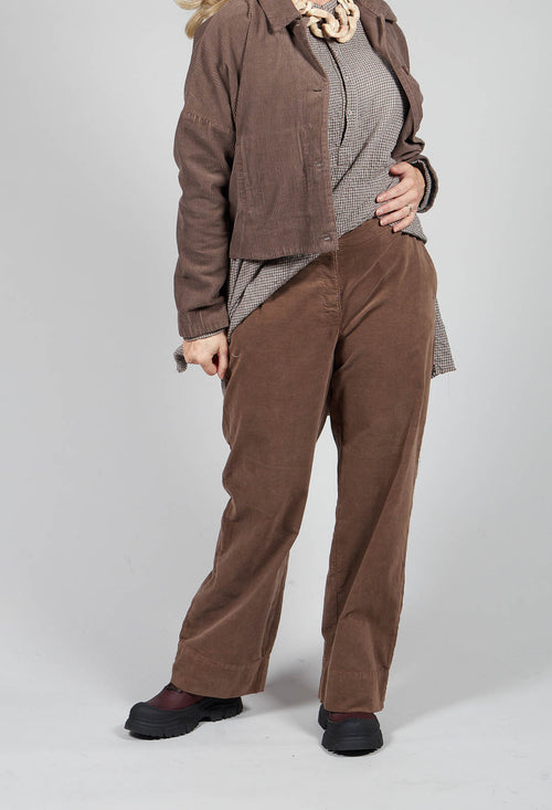 Dider Trousers in Taupe