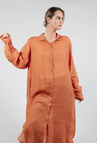 Bloomai Shirt Dress in Wurzel Orange