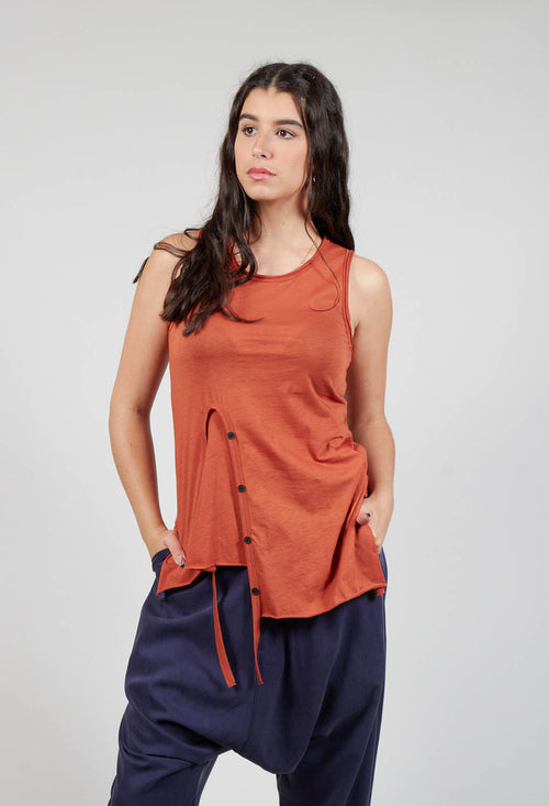 Button Panel Top in Cinnamon