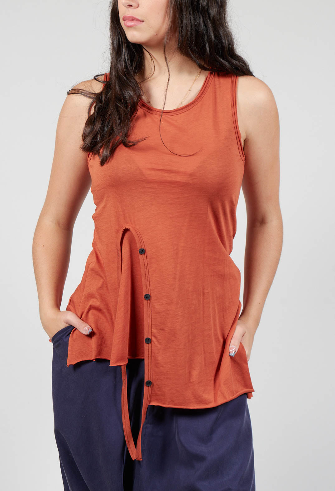 Button Panel Top in Cinnamon