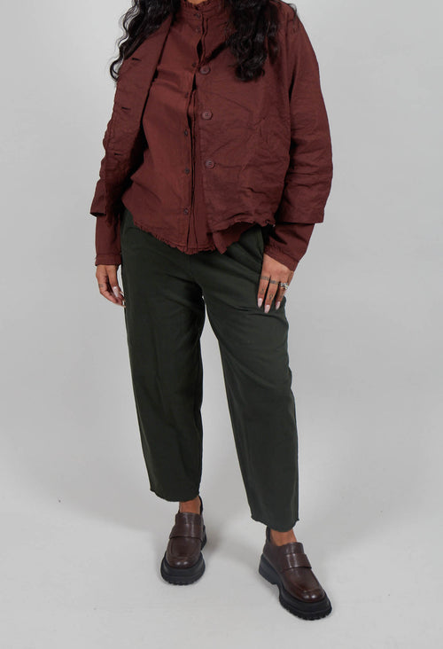 Pedrina Pants in Olive