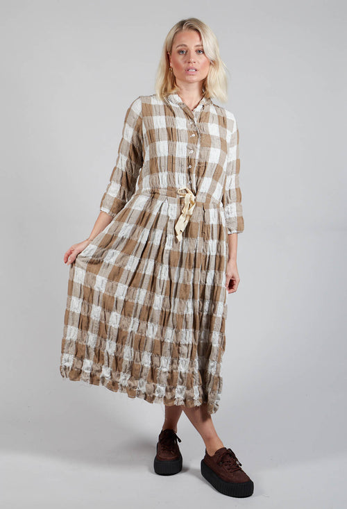 Demetra Dress in Brown Check