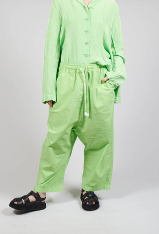Cropped Wide Leg Trousers in Lime