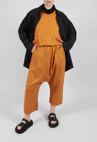 Lippia D Trousers In Ambra