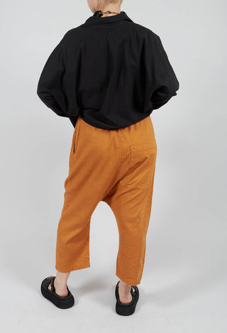 Lippia D Trousers In Ambra