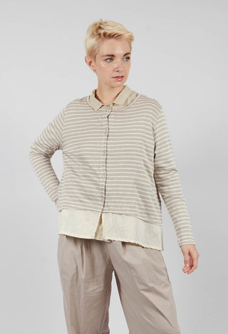Cratere Cardigans In Argento