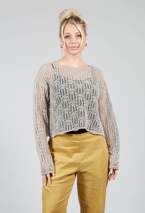 Lace Round-Neck Jumper in Mastic