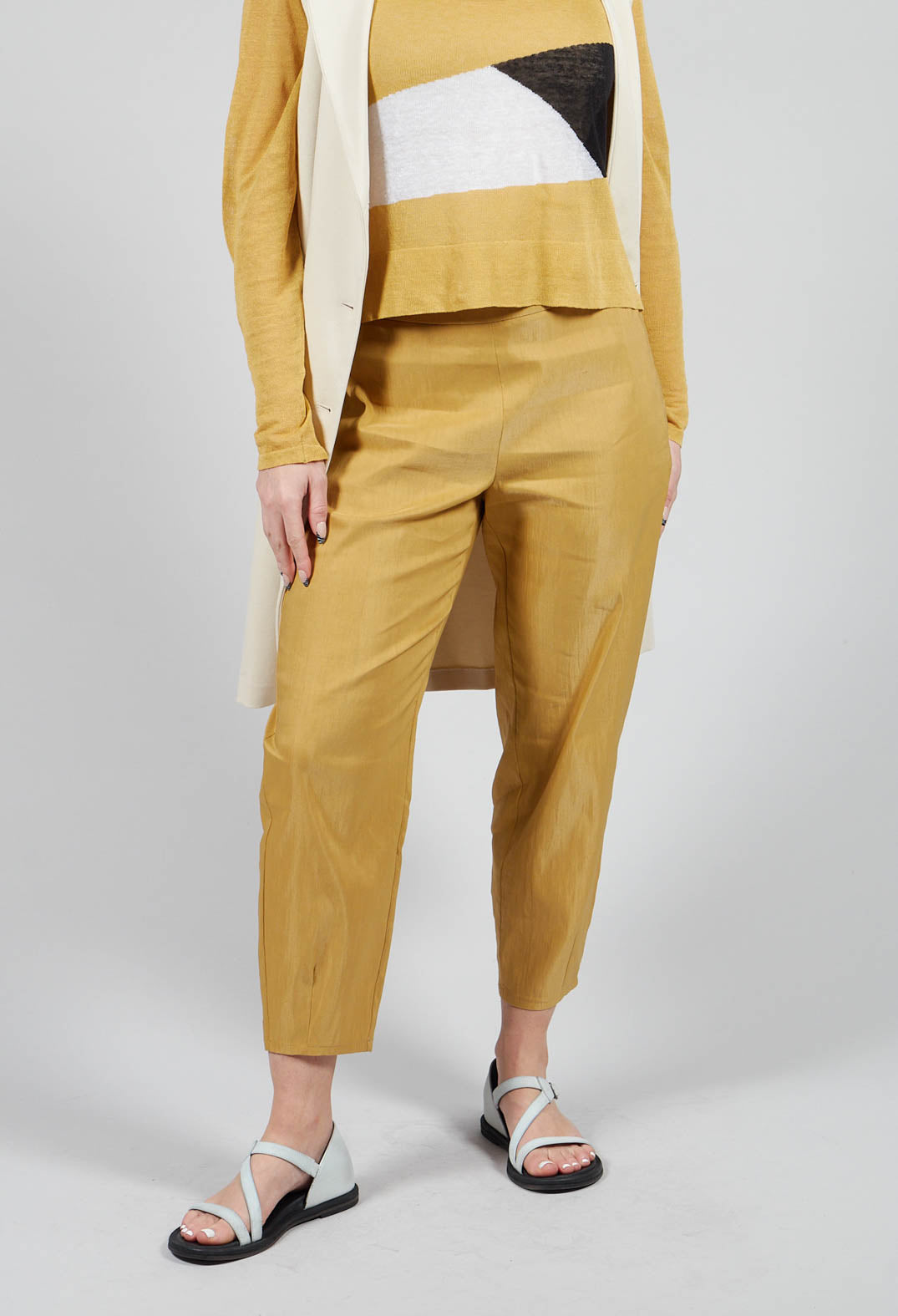 Cropped Slim Leg Pants in Mustard