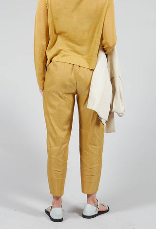 Cropped Slim Leg Pants in Mustard