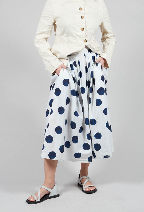 Box Pleated Skirt in Print