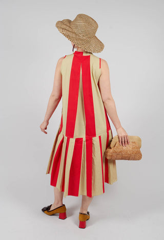Striped Cotton Dress in Line Print