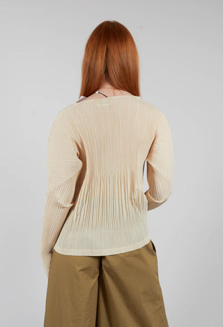 Crinkle Fabric Blouse in Beige