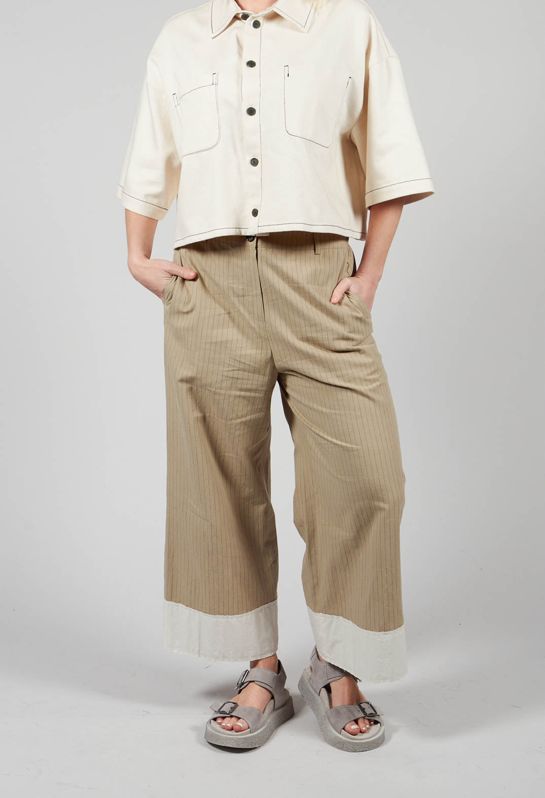 Pinstripe Trousers in Beige Stripe