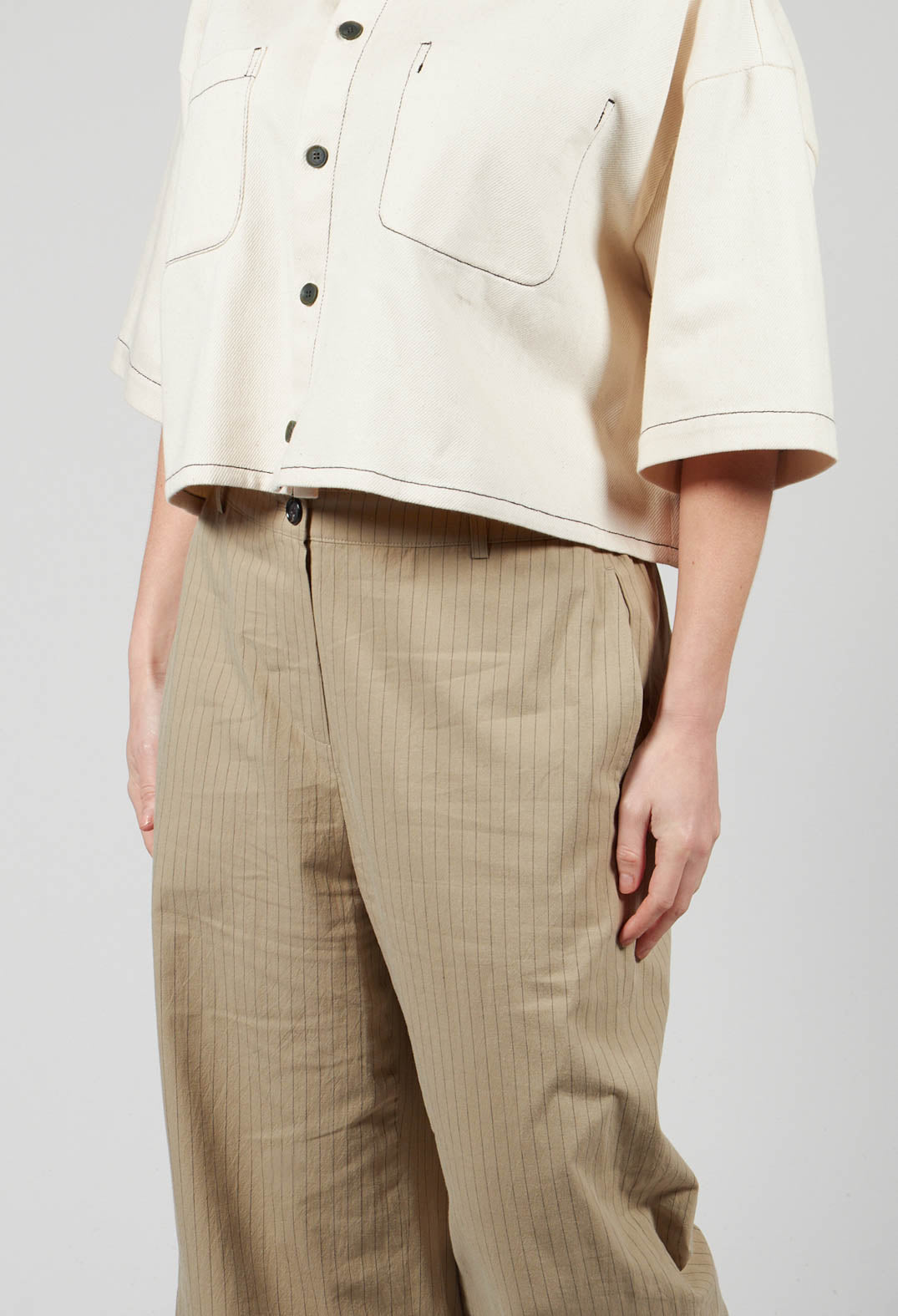 Pinstripe Trousers in Beige Stripe