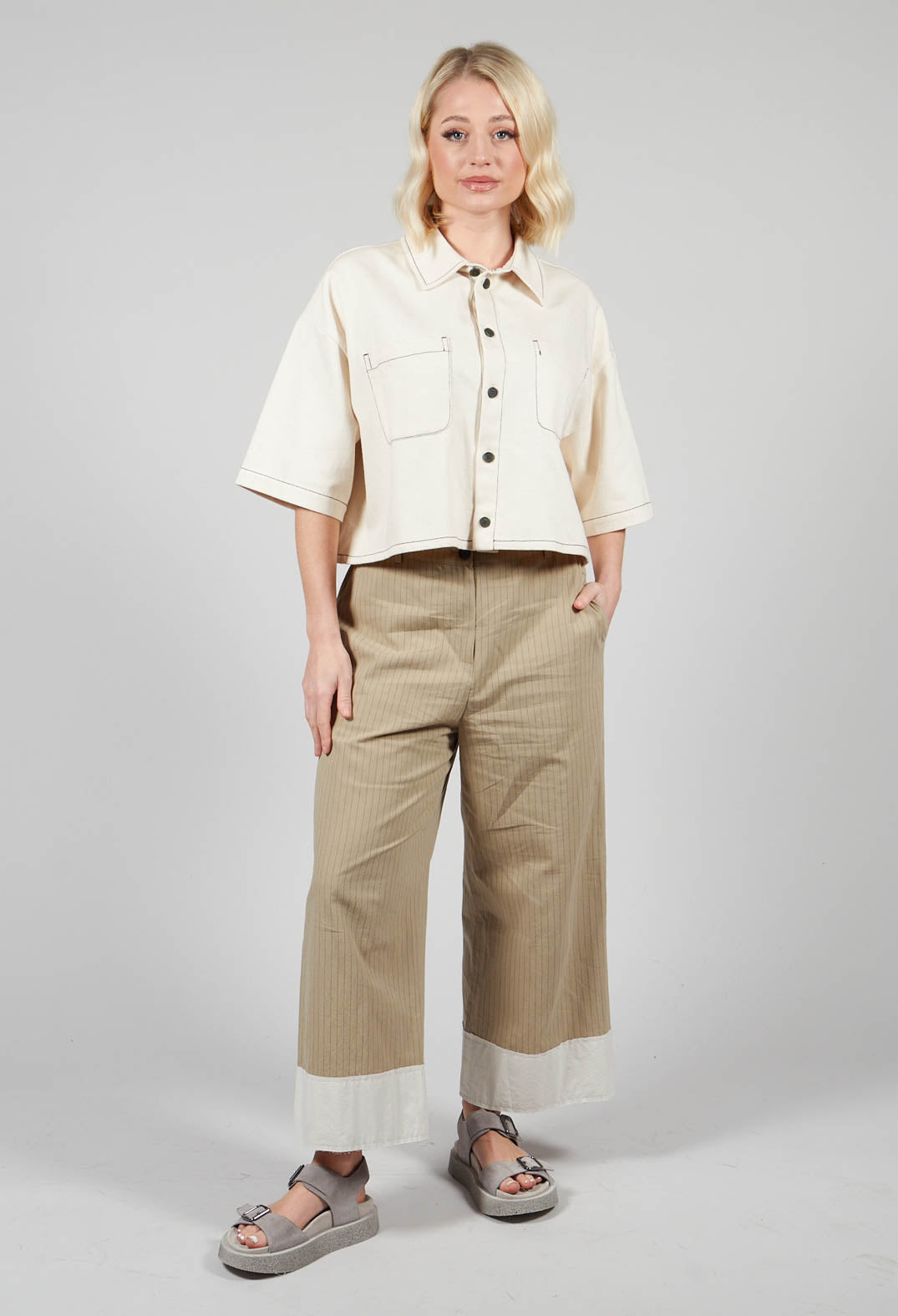 Pinstripe Trousers in Beige Stripe