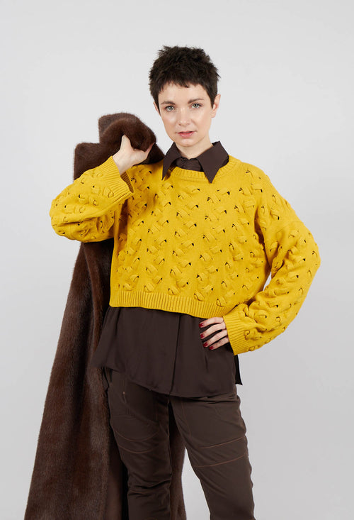 Cable Knit Cropped Sweater in Yellow