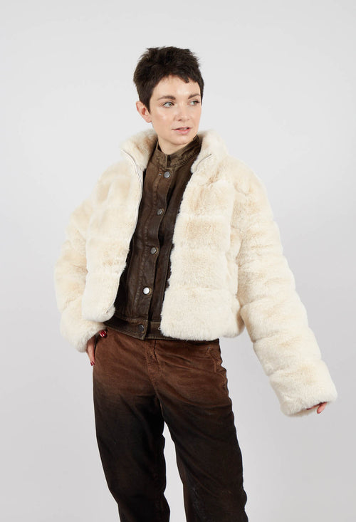 Lamar Jacket in Ecru