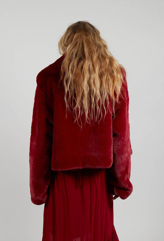 Lambada Jacket in Bordeaux