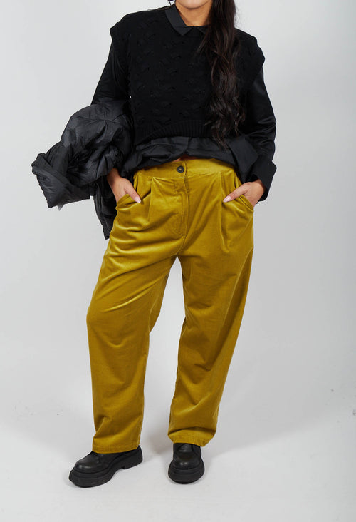 Straight Leg Ribbed Trouser in Cedro