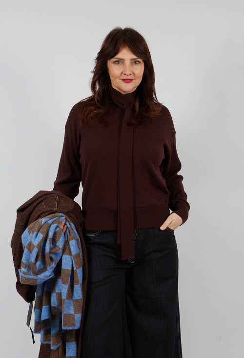 Crew Neck Jumper with Tie Neck in Java