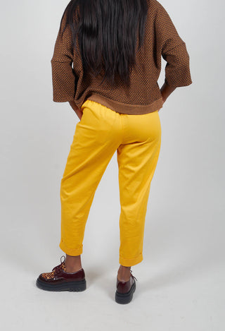 Geisha Long Trousers in Honey