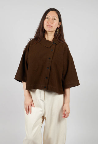 Asymmetric Point Collar Shirt in Brown