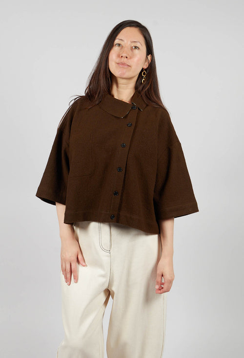 Asymmetric Point Collar Shirt in Brown