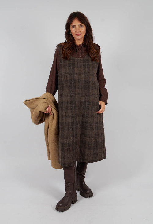 Gray Dress in Brown