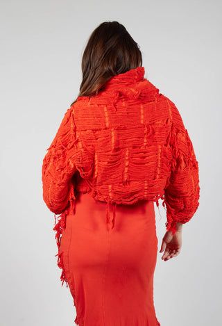 Shredded Jacket in Mandarine