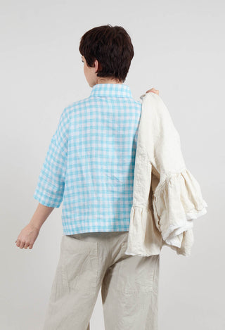 Gingham Cropped Shirt in Sky Blue Stripe