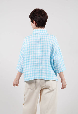 Gingham Cropped Shirt in Sky Blue Stripe