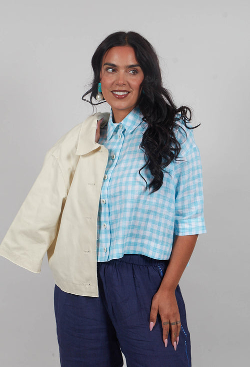 Gingham Cropped Shirt in Sky Blue Stripe