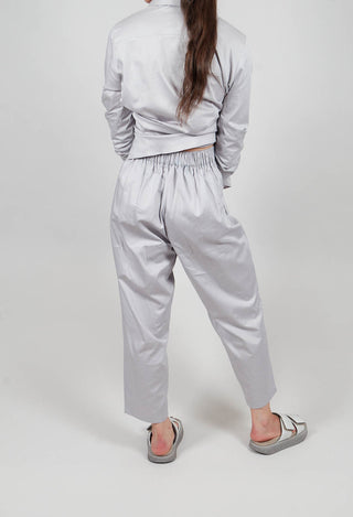 Straight Leg Trouser in Silver