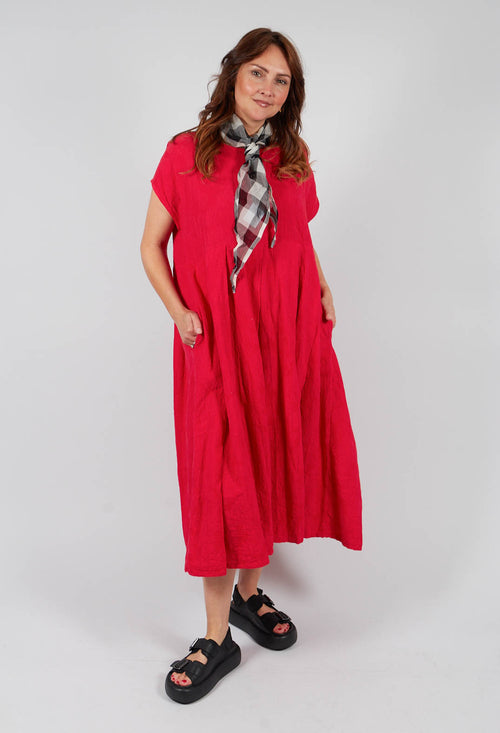 Flegezelle Dress in Pepper