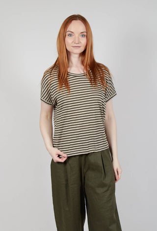 Decisa LR T-Shirt in Alga Stripe