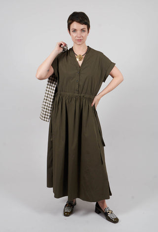 Gioioso Dress in Alga