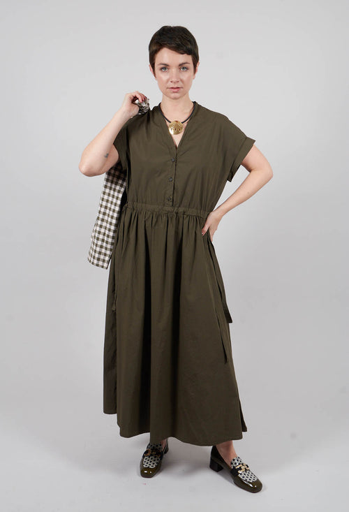 Gioioso Dress in Alga