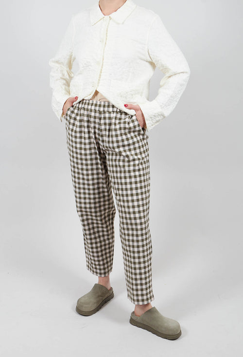 Preciso Q Trousers in Alga
